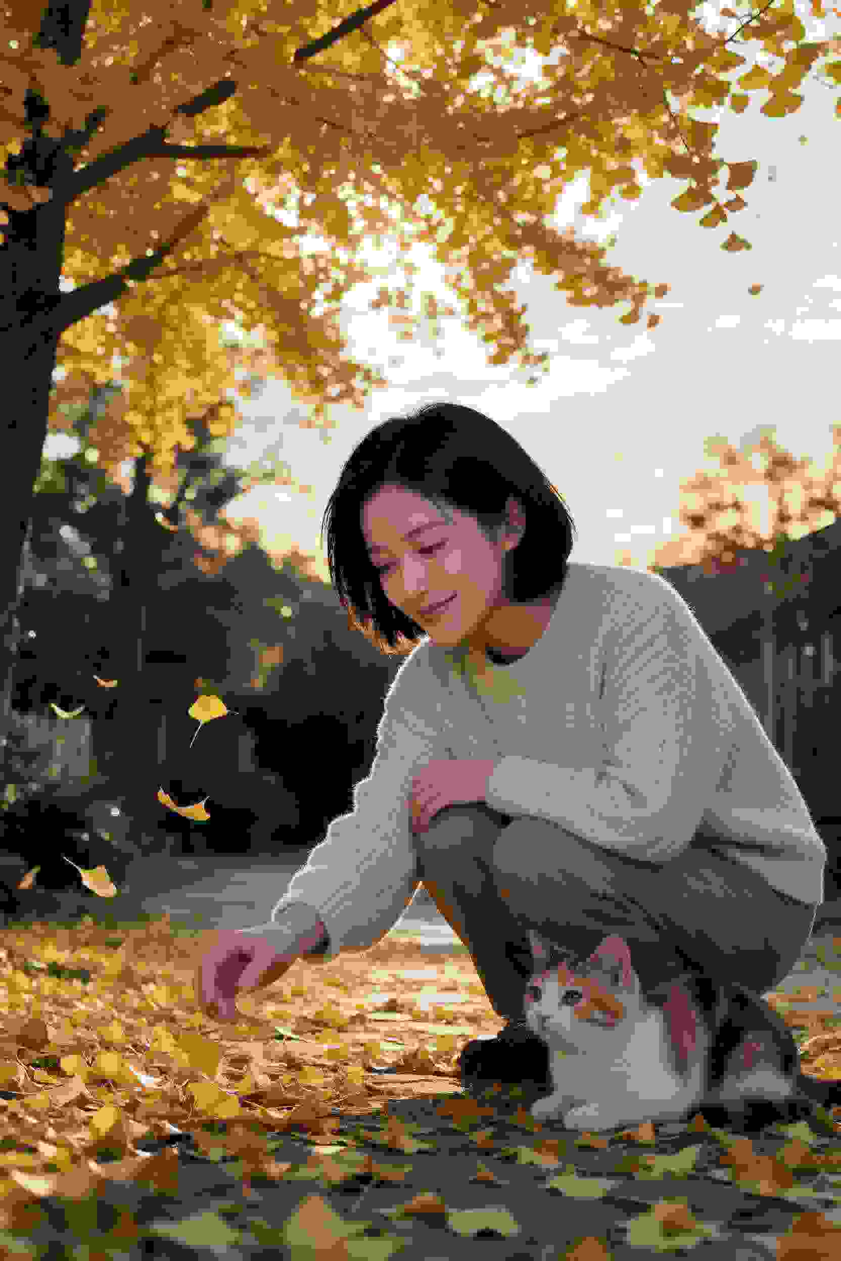 剧2